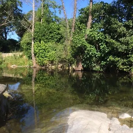 Cantarranas * Cuacos De Yuste
