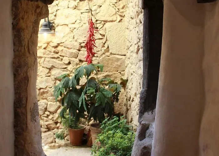 Cantarranas * Cuacos De Yuste